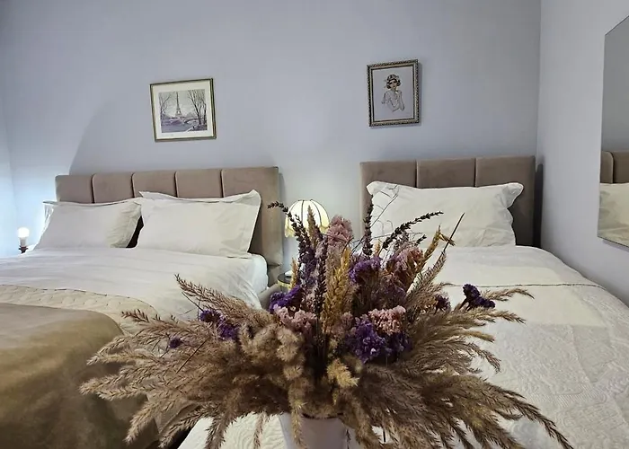 Apartment In Tirana